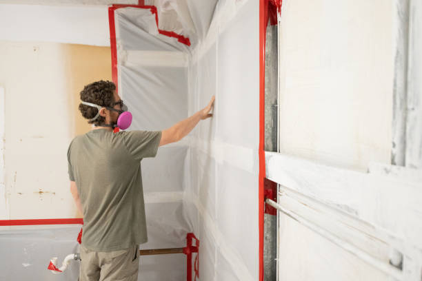 Mold Remediation for Vacation Homes in Fredericksburg, TX