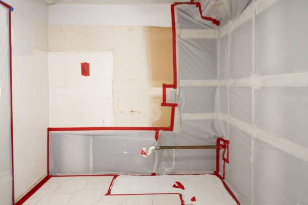 Best Indoor Air Quality Assessment  in Fredericksburg, TX