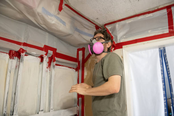 Best Residential Mold Inspection & Testing  in Fredericksburg, TX