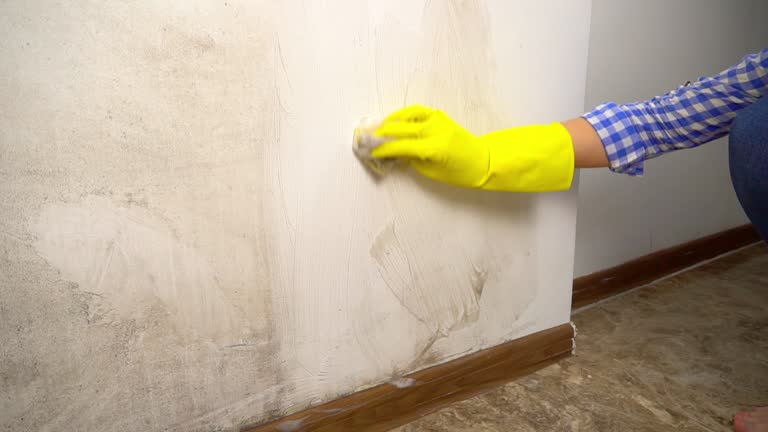 Best Commercial Mold Inspection  in Fredericksburg, TX