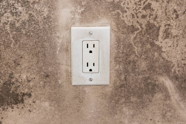 Best Environmental Consulting for Mold Prevention  in Fredericksburg, TX